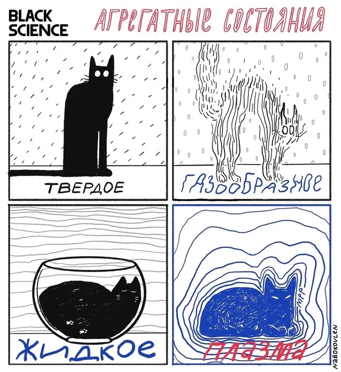 Just physics - Physics, cat, Catomafia, The science, Physicists joke