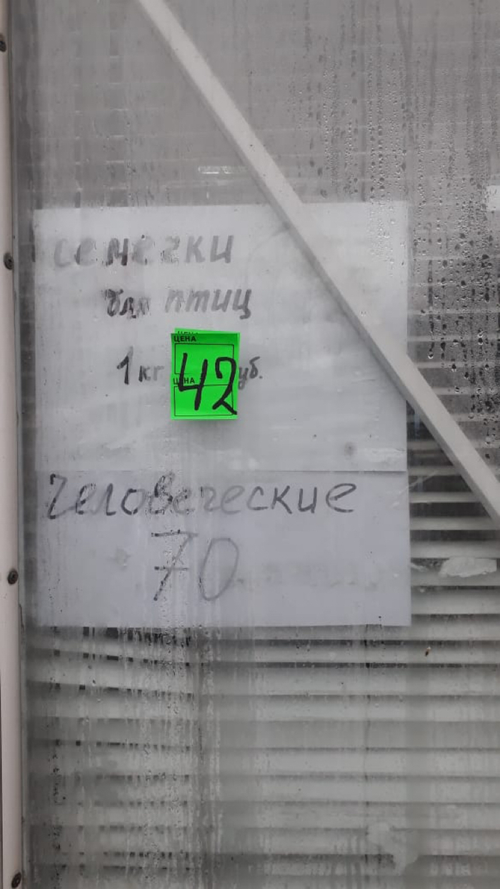 ������� ������������