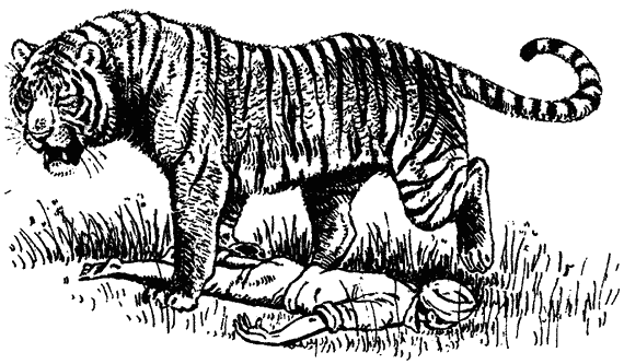 This tigress kept the whole region at bay! - Hunter, Man-Eating Animals, Tiger, India, Nepal, Longpost