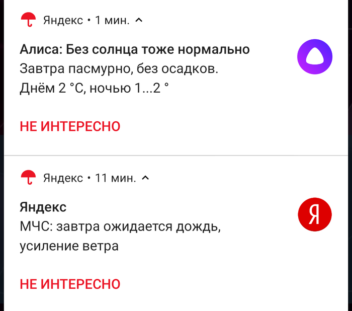 Не забудьте шлёпки, ледоступы и крем от загара