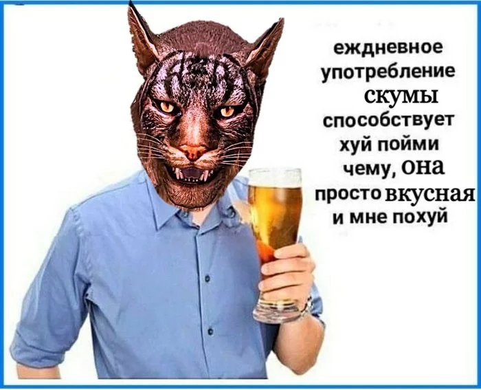 Психология Каджитов - The Elder Scrolls, Каджиты, Скума, Игры