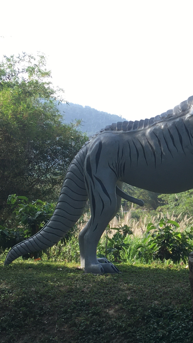 An ordinary dinosaur! - NSFW, My, Dinosaurs, Genitals, Southeast Asia, Longpost