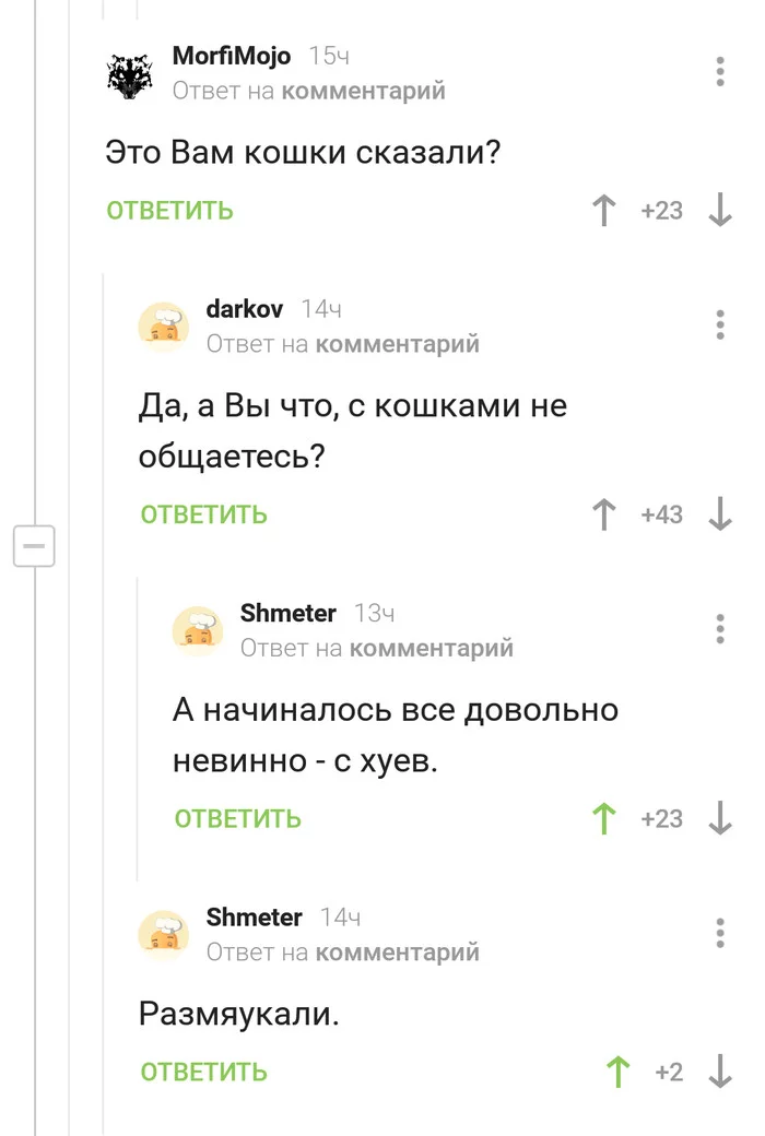 Поговори с котом - Комментарии на Пикабу, Разговор, Кот, Скриншот