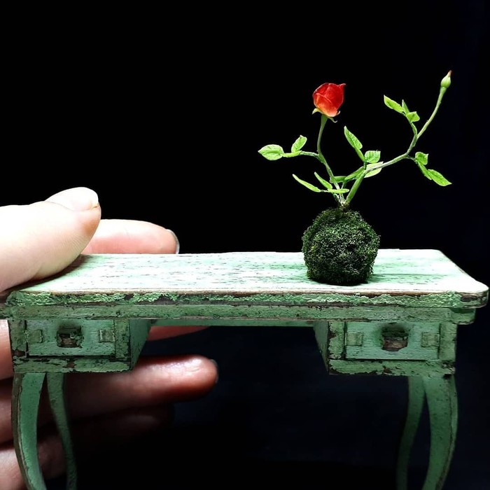       ,  , , ,  ,  , , 