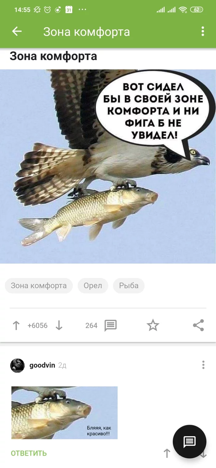 Travel, friends! - Comments on Peekaboo, Screenshot, A fish, Eagle, Longpost