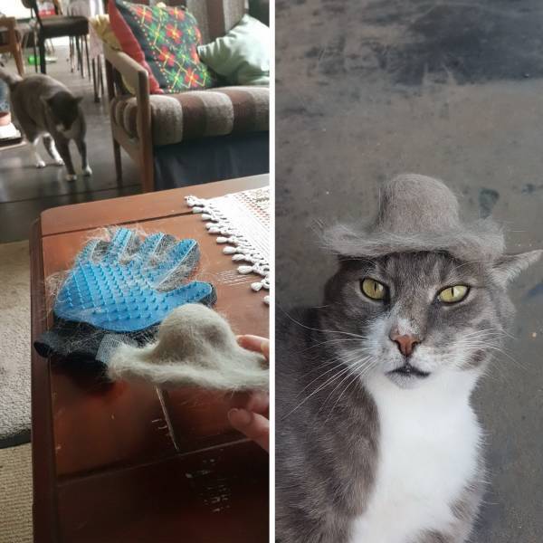 �� ��������� �� �����