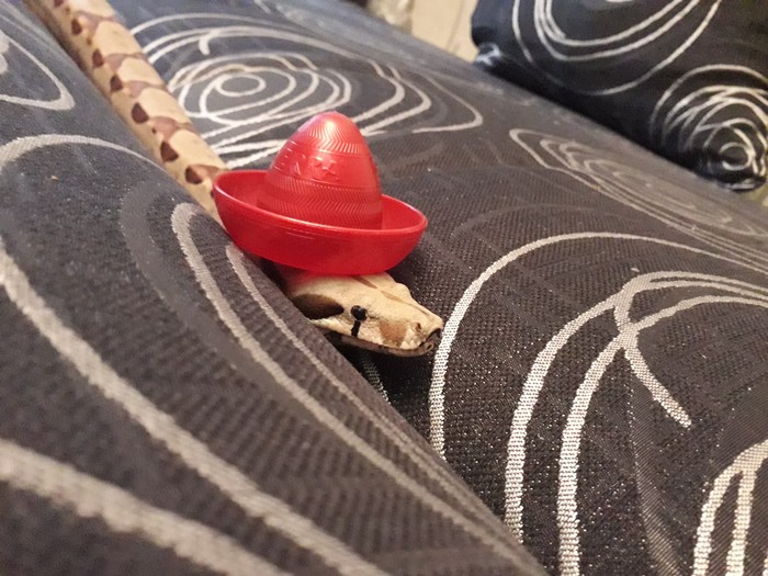  , ,  ,  , , 