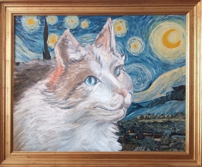 Кот в звёздную ночь | Пикабу
