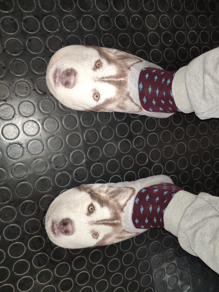 ���� � ����� �� �������