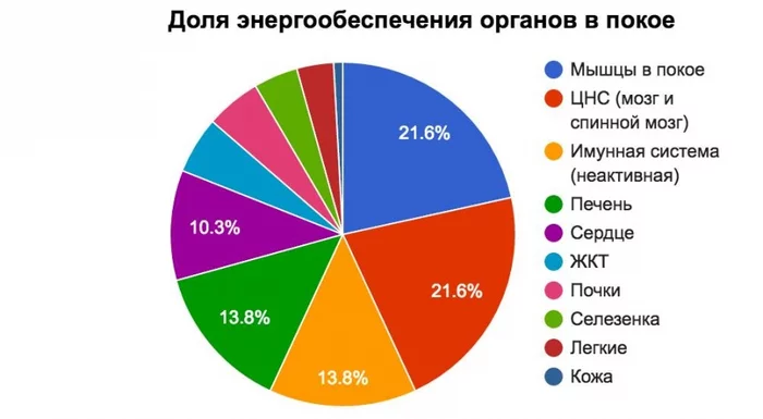 Эволюция человека и человеческих мозгов Теория эволюции, Эволюция, Антропогенез, Наука, Познавательно, Гифка, Длиннопост
