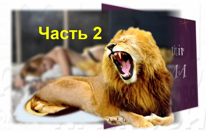 In bed with a lion - 2 - My, Story, Story, Story, Humor, Men and women, Neighbours, Oddities, Fantasy, Longpost