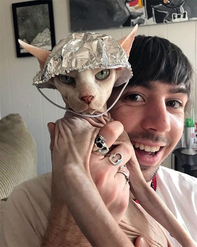 When the owner believes in aliens, but you're a cat and can't explain - cat, Catomafia, Foil hat