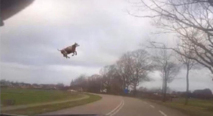 Стандартная первая пара на ООП (обьектно ориентированое програмирование)