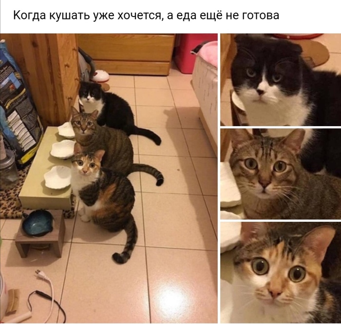 1582667476141531578.jpg