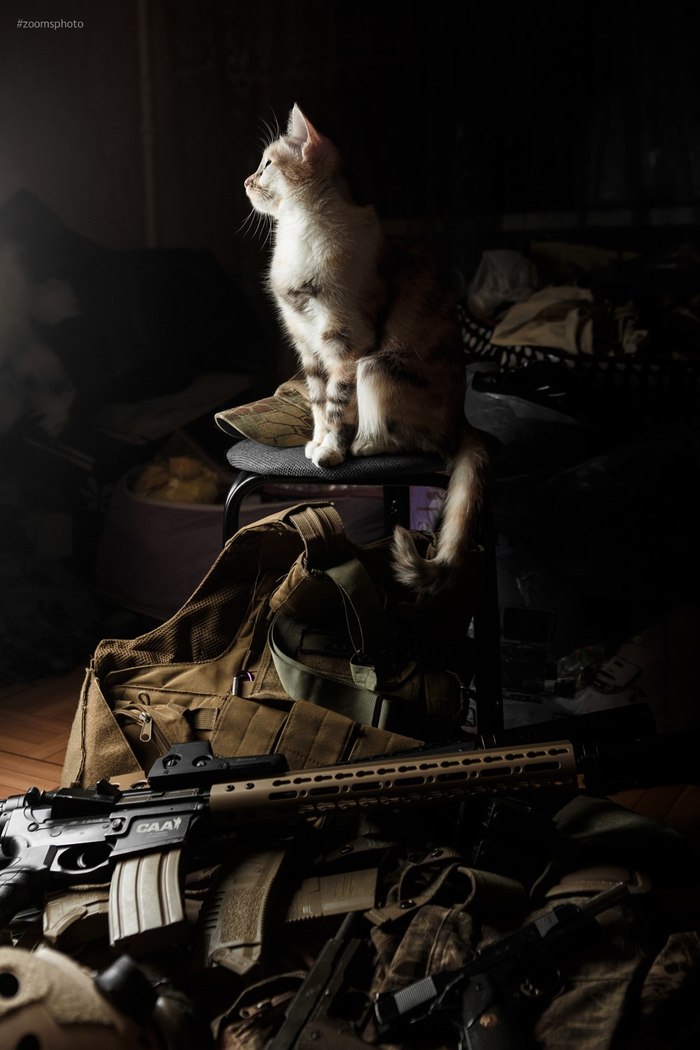 Королева воинов