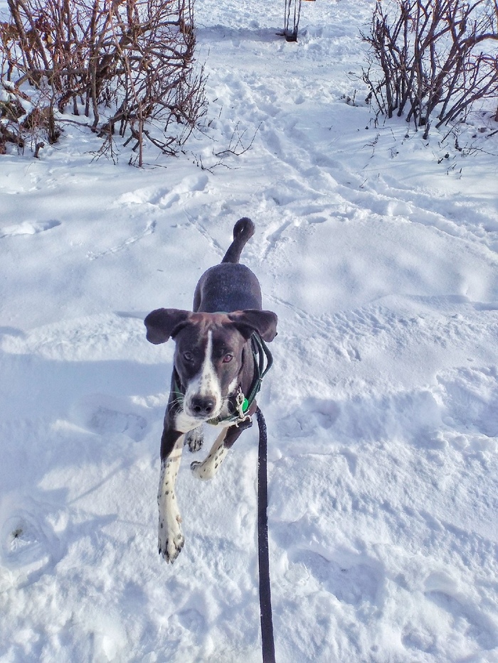 ������� �������