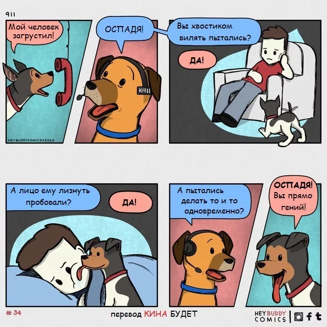 Dog rescue service... - Dog, 911, Heybuddycomics, Comics, Translated by myself, Kina will