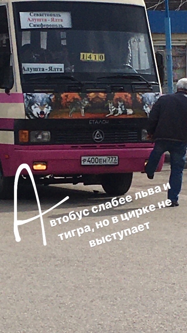 ���� ����� ����