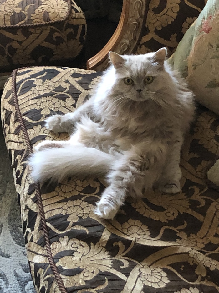 ��� ��������? ����� �����!