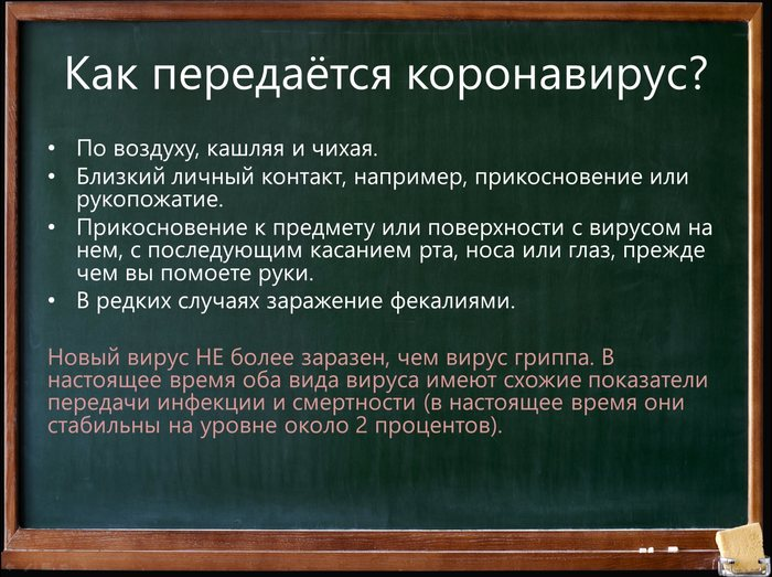 На злобу дня или о новом коронавирусе (информация от учёных) - Коронавирус, Форум, Копипаста, Длиннопост