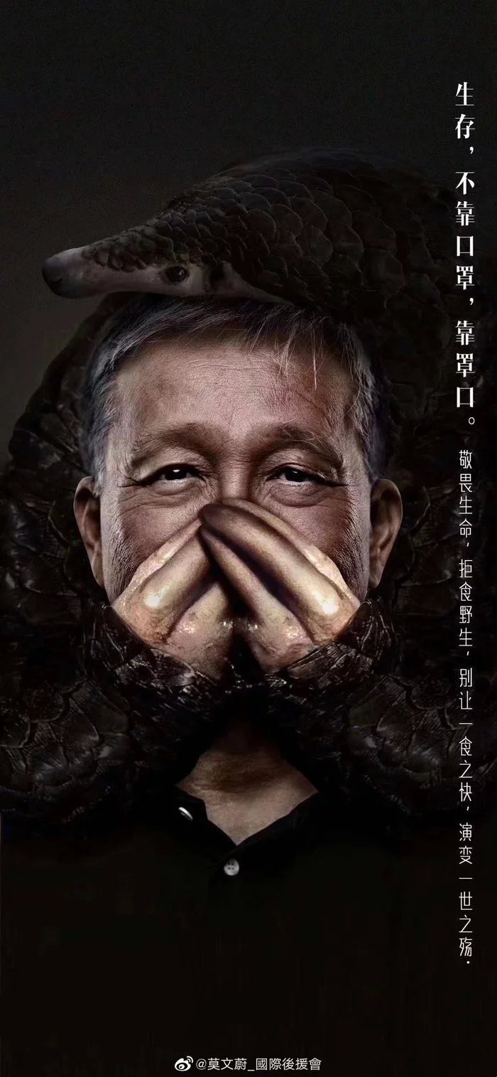 We realized it too late. Chinese public service announcement urging people not to eat wild animals - Social advertisement, China, The photo, Longpost, Pangolin