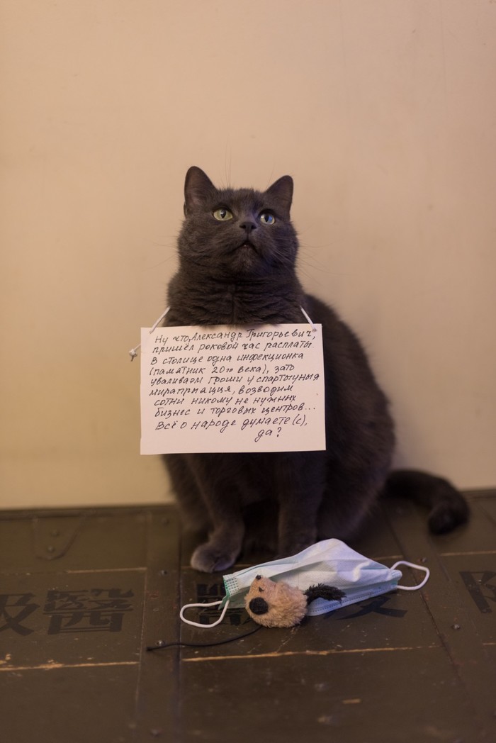 ����� ������ ���������