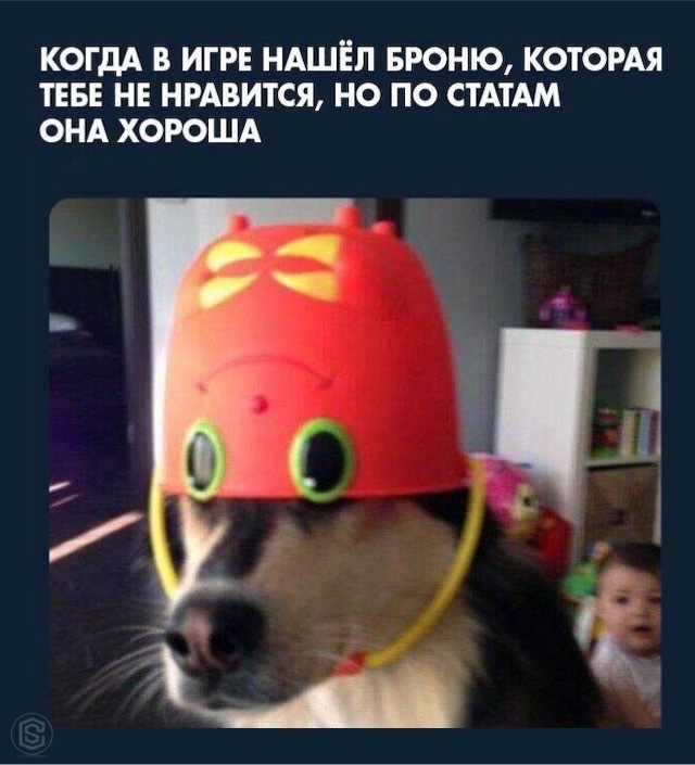     , ,  , 