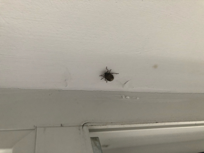 ��� � ��������� ����?