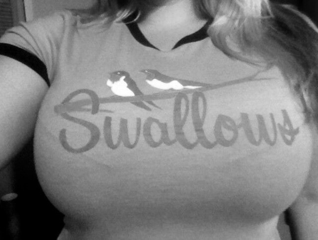 Swallows - T-shirt, Inscription, Print, The photo