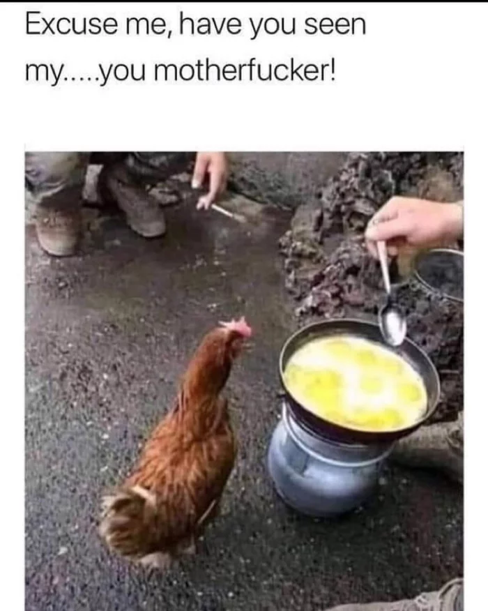 Hen - Humor, Omelette, 9GAG, Translation, Picture with text, Hen