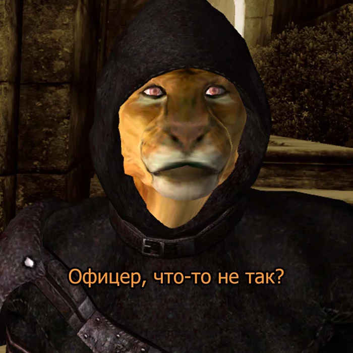 Typical Oblivion - The elder scrolls, The Elder Scrolls IV: Oblivion, Games, Memes, Longpost, Khajiit