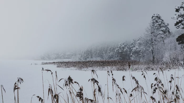 Last fight of winter - My, The photo, Winter, Spring, Russia, Blizzard