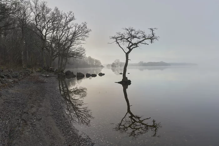 Post #7263834 - My, Morning, Fog, Reflection, Lake, Tree, Scotland, Travels, The photo, Longpost