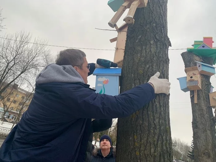 Installed like this installed - PR, Ecology, Chapter, Good deeds