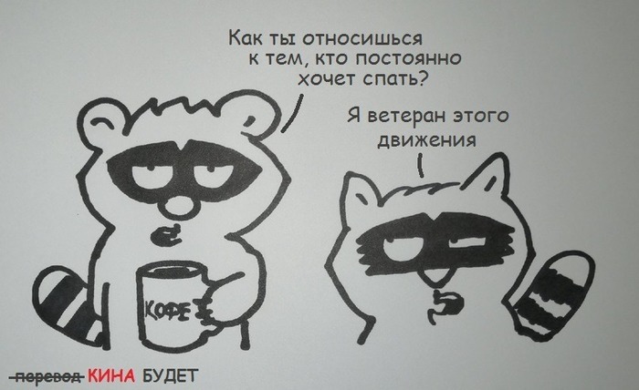 Енот и кофе картинки