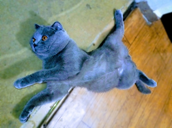 � ��� ��� �����!