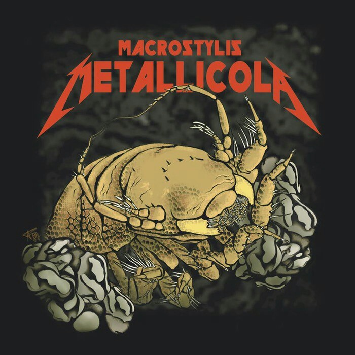        METALLICA Metallica, , ,  , 
