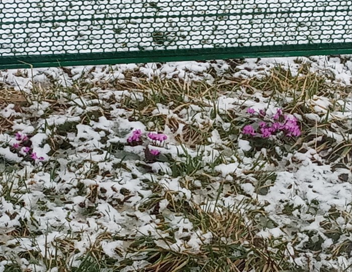 Первый день весны