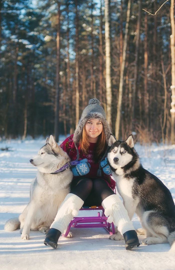 Photo sessions with husky dogs - My, PHOTOSESSION, Husky, Nature, Winter, Girls, Longpost