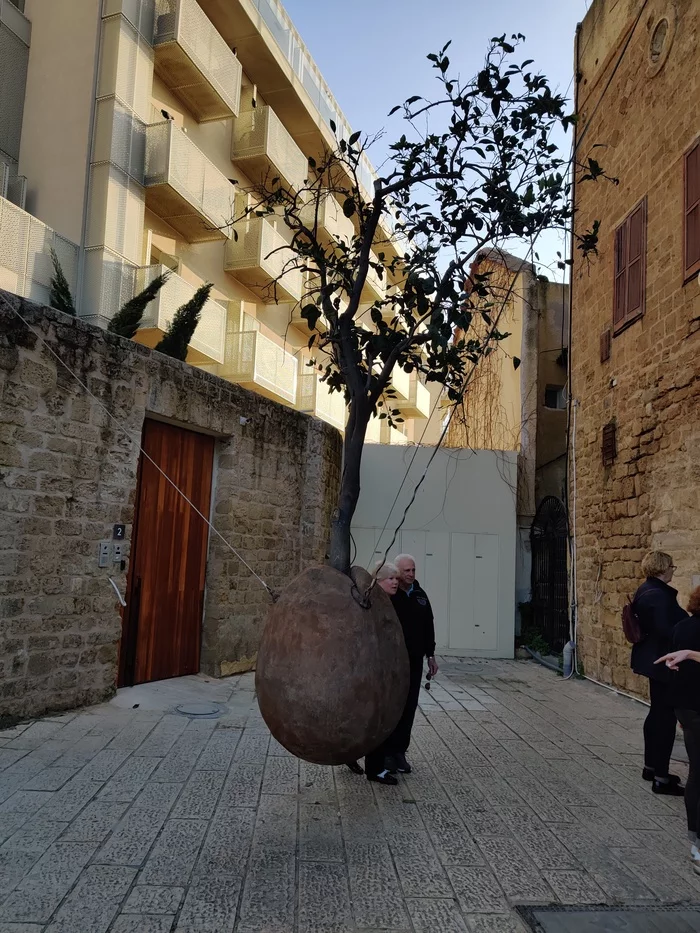 Soaring orange tree in Israel - My, Israel, Jaffa, Orange, The photo, sights, Modern Art, Sculpture