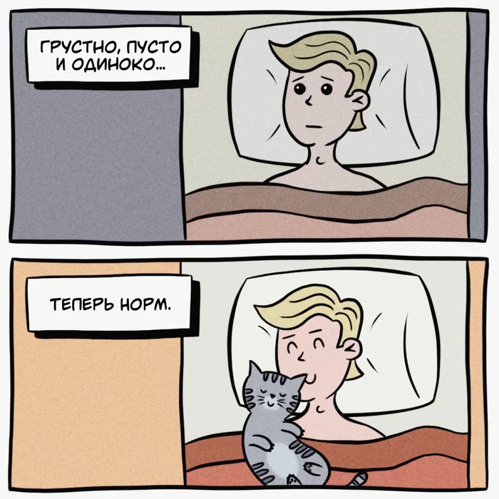 Best friend - My, Comics, cat