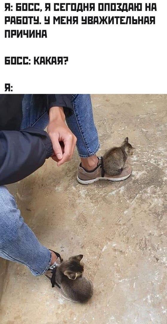 Уважительная причина