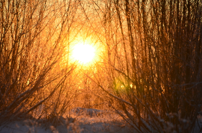 Зима до свидания)