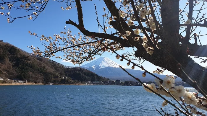 Fuji today - My, Fujiyama, Japan, Spring