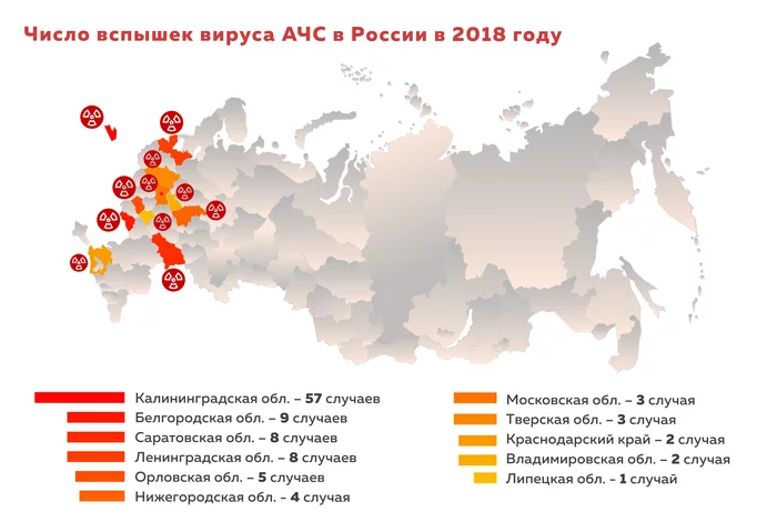 Number of ASF virus outbreaks in Russia in 2018 - My, Interesting, Informative, Statistics, Сельское хозяйство, Farm, Farmer, Products, Plant growing