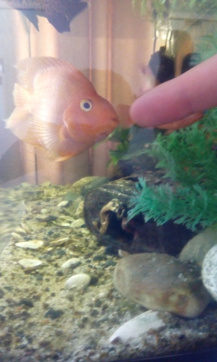 Психотерапевтическое отделение - что здесь делают люди