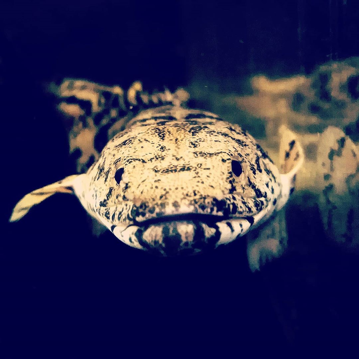  , , , , 