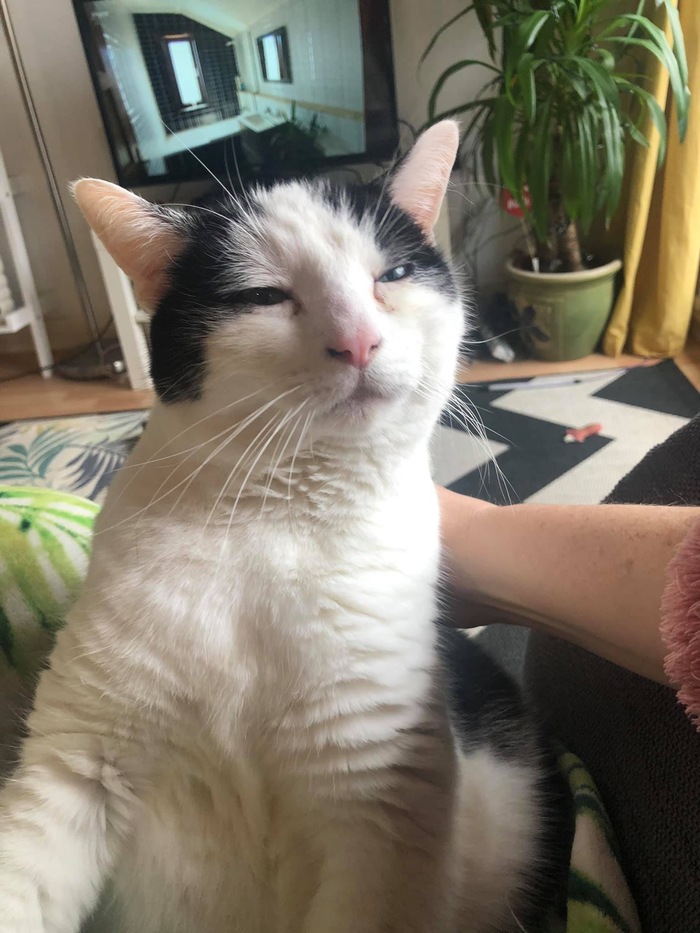 А не ел ли ты вкусняшки без меня?