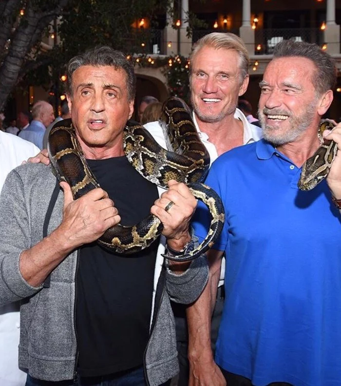 Schwarzenegger, Lundgren and Stallone strangle a boa constrictor together - Humor, Arnold Schwarzenegger, Sylvester Stallone, Dolph Lundgren