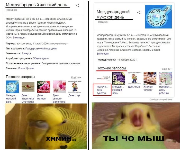 That same day... - My, March 8 - International Women's Day, A parrot, February 23 - Defender of the Fatherland Day, Rage, Google
